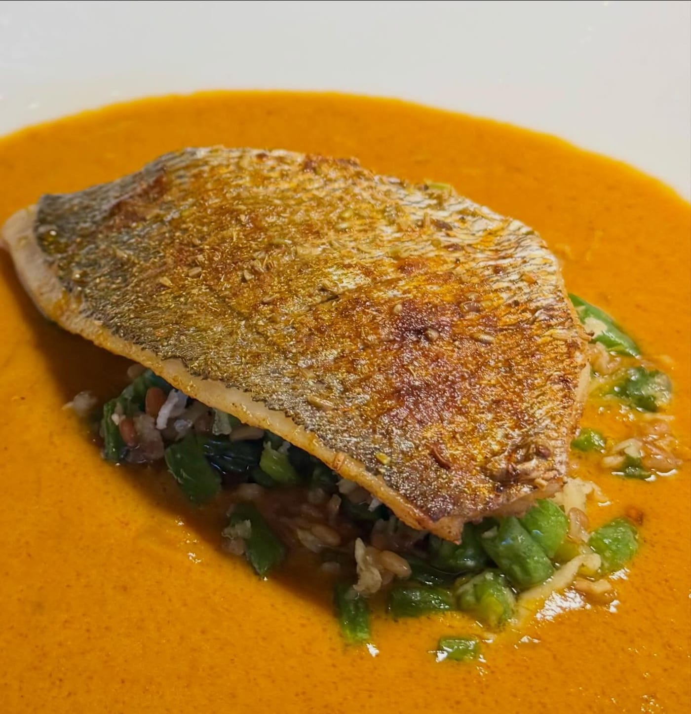 A crisp-skinned fillet of fish over a deep orange coconut and tomato sauce
